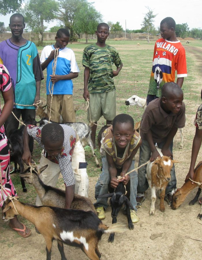 Goats donated to children and parents