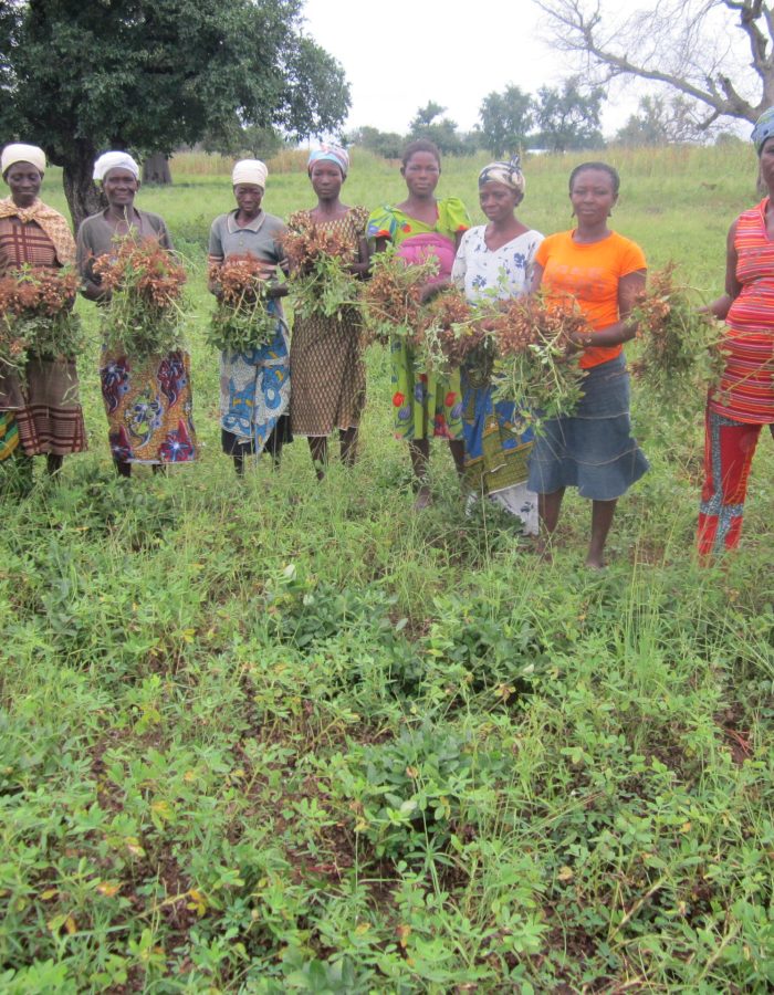 WOMEN GROUP SUPPORTED WITH GROUNDNUTS FARMING